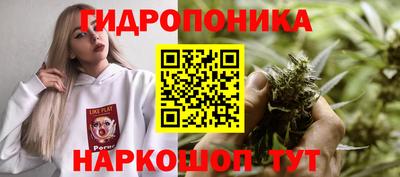 молекула духа Гусев