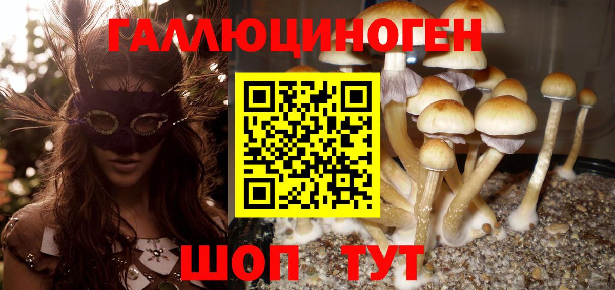 Псилоцибиновые грибы прущие грибы Междуреченск